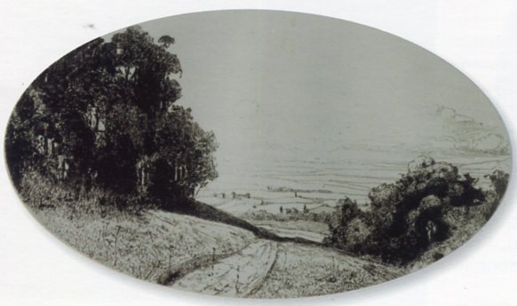 1913 - Il roccolo di villa Cavalletti